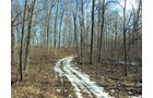 Property photo 8 - 66 Acres Offered in 3 Tracts